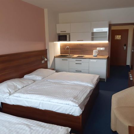 Apartman Wellness Hotel Frymburk Exterior photo
